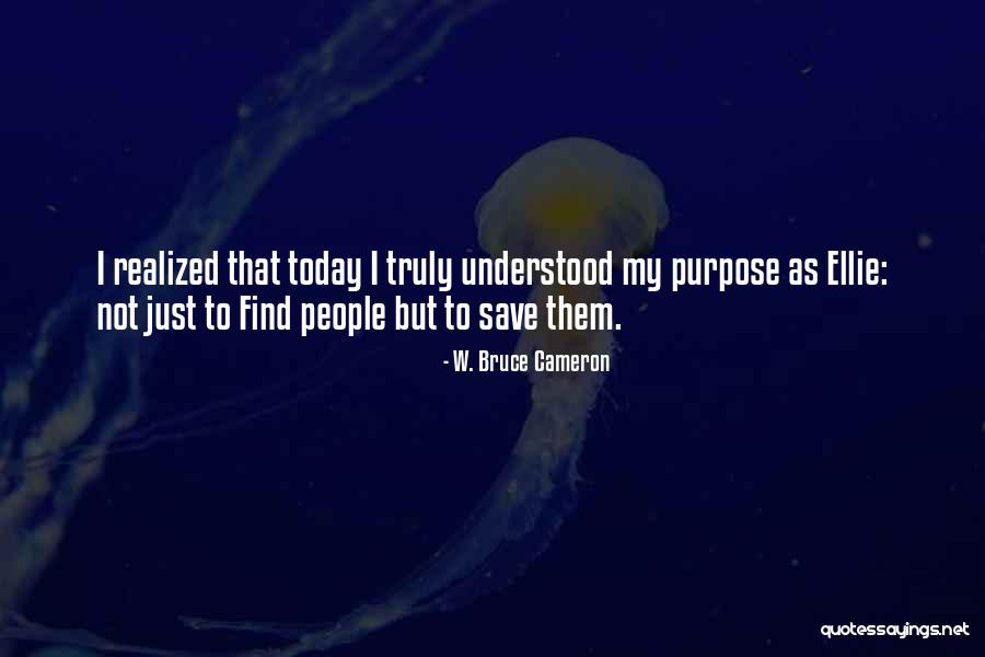 Karma Siddhanta Quotes By W. Bruce Cameron Karma Siddhanta Quotes By W. Bruce Cameron