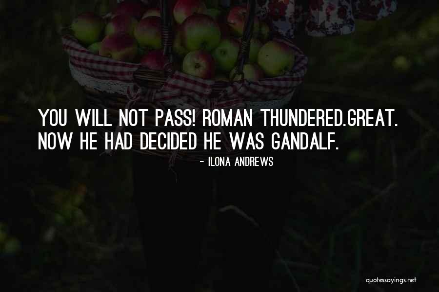 Karmelo Iribarren Quotes By Ilona Andrews Karmelo Iribarren Quotes By Ilona Andrews