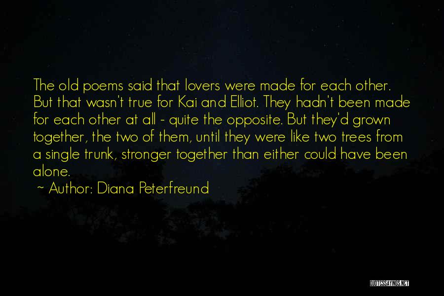 Karmic Soulmate Quotes By Diana Peterfreund