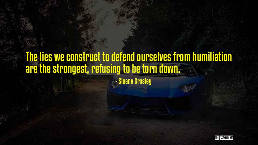 Karnitin Quotes By Sloane Crosley Karnitin Quotes By Sloane Crosley