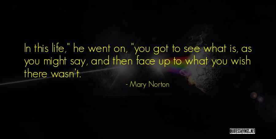 Karnofsky Quotes By Mary Norton Karnofsky Quotes By Mary Norton