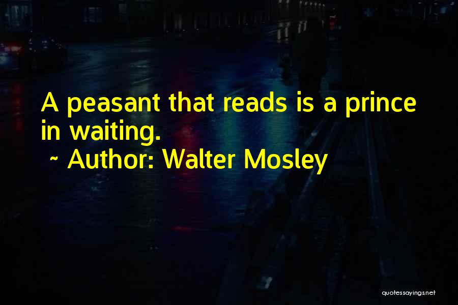 Karpet Permadani Quotes By Walter Mosley