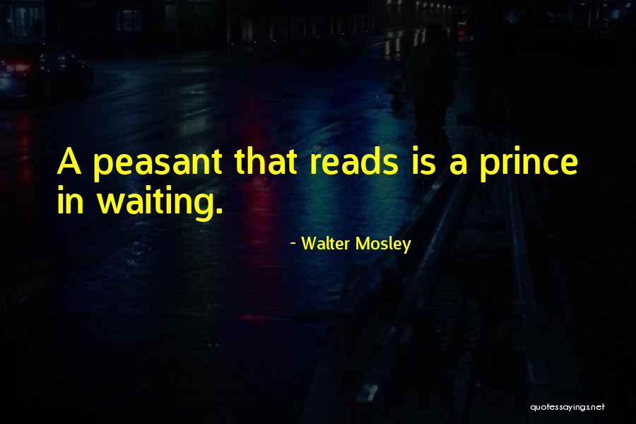 Karpet Permadani Quotes By Walter Mosley