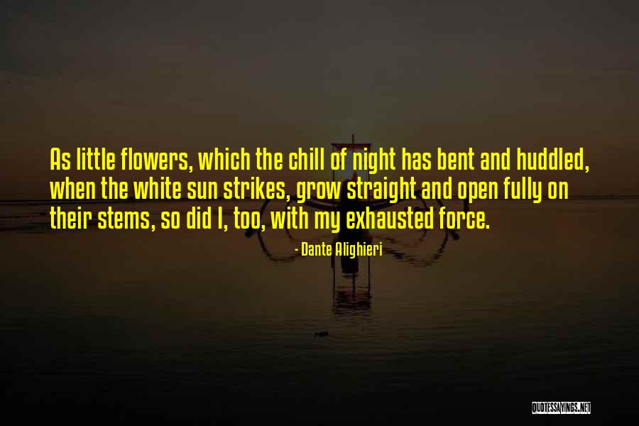 Karra Elejalde Quotes By Dante Alighieri