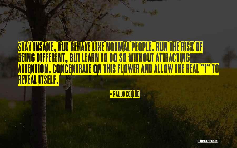 Karrington 18 Light Quotes By Paulo Coelho Karrington 18 Light Quotes By Paulo Coelho
