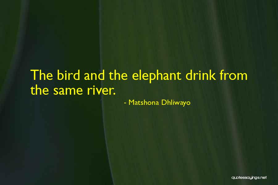 Karsman Ilse Quotes By Matshona Dhliwayo Karsman Ilse Quotes By Matshona Dhliwayo