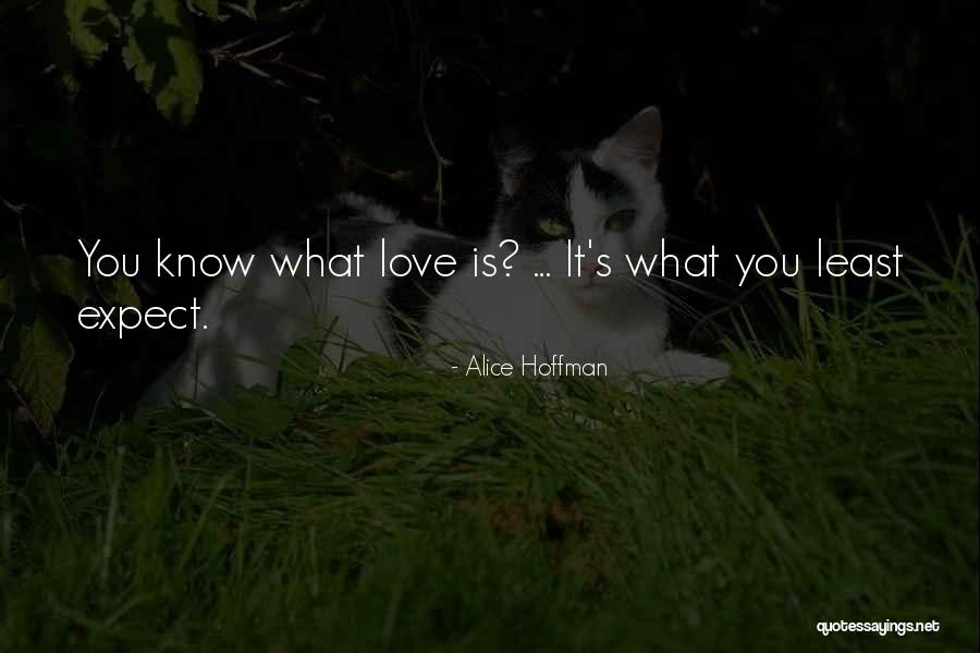 Karssen K9s Quotes By Alice Hoffman Karssen K9s Quotes By Alice Hoffman