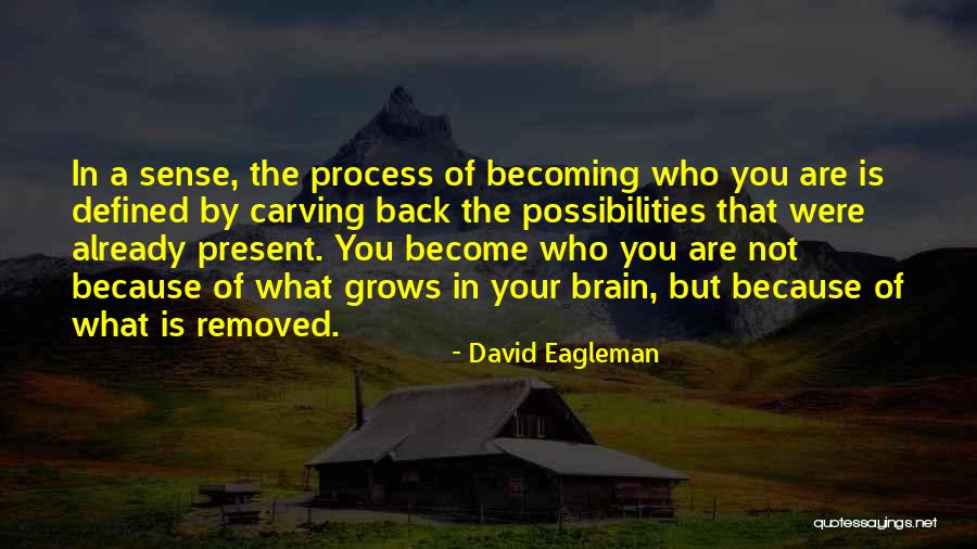 Karvelis Balandis Quotes By David Eagleman Karvelis Balandis Quotes By David Eagleman