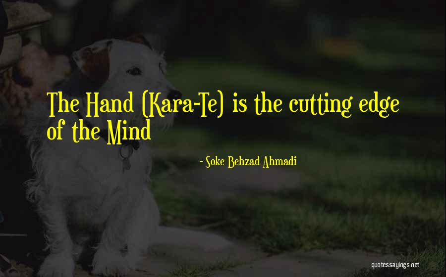 Kasamatsu Shiro Quotes By Soke Behzad Ahmadi Kasamatsu Shiro Quotes By Soke Behzad Ahmadi