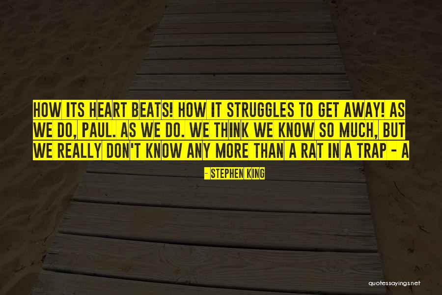 Kasapis Quotes By Stephen King Kasapis Quotes By Stephen King