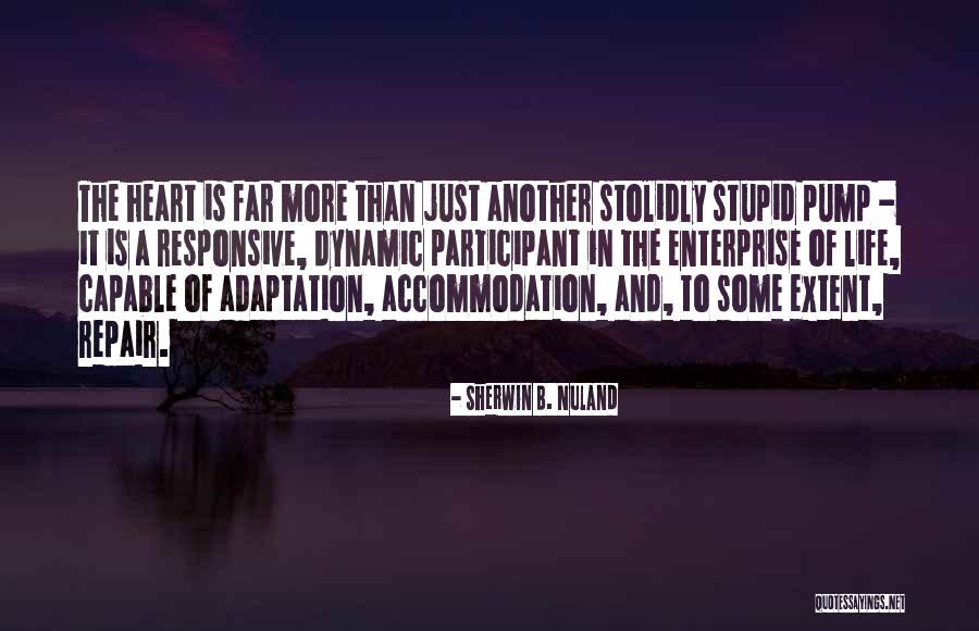Kashipur Satta Quotes By Sherwin B. Nuland Kashipur Satta Quotes By Sherwin B. Nuland
