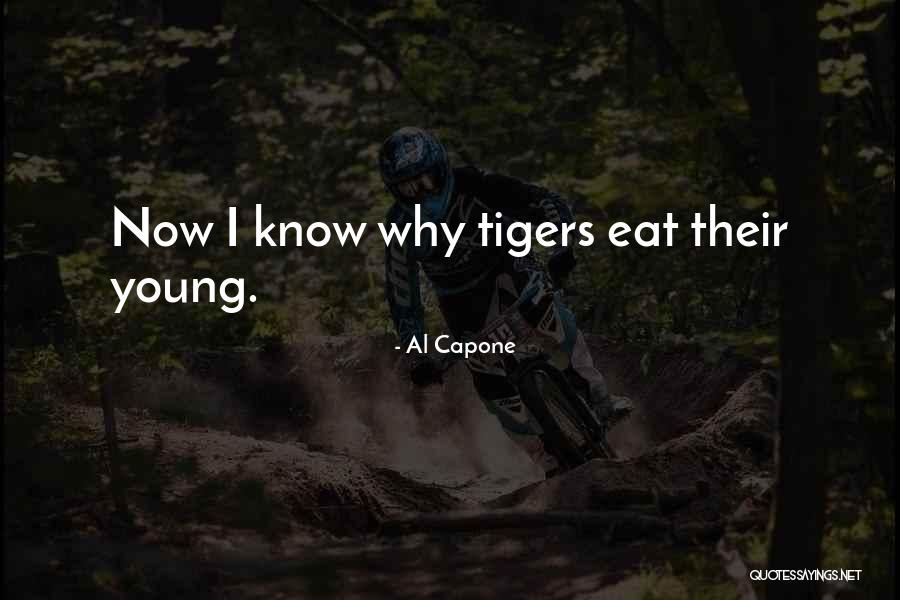 Kashiwada Cpa Quotes By Al Capone Kashiwada Cpa Quotes By Al Capone