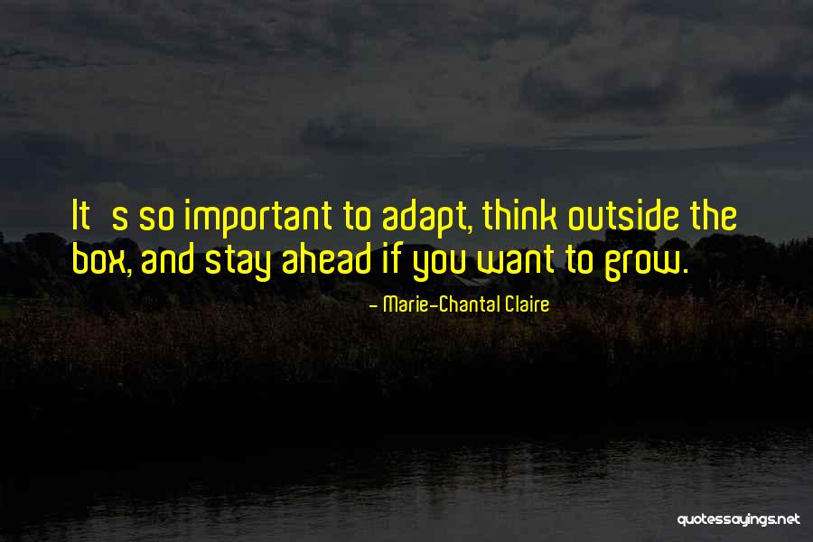 Kashkin Bruce Quotes By Marie-Chantal Claire