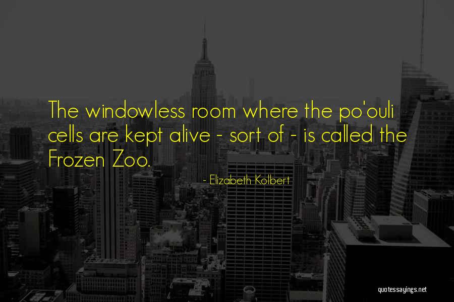 Kasineritos Quotes By Elizabeth Kolbert Kasineritos Quotes By Elizabeth Kolbert