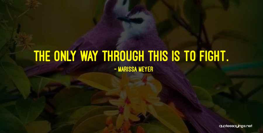 Kasinger Roofing Quotes By Marissa Meyer