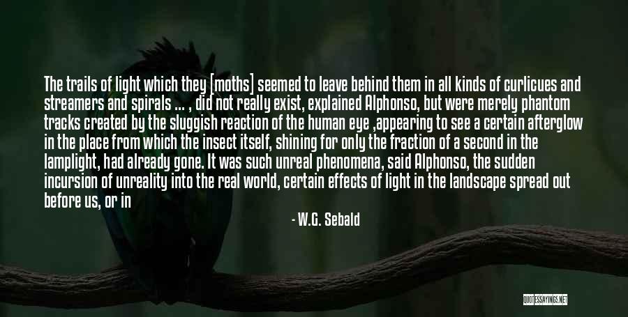 Kasl Soccer Quotes By W.G. Sebald Kasl Soccer Quotes By W.G. Sebald