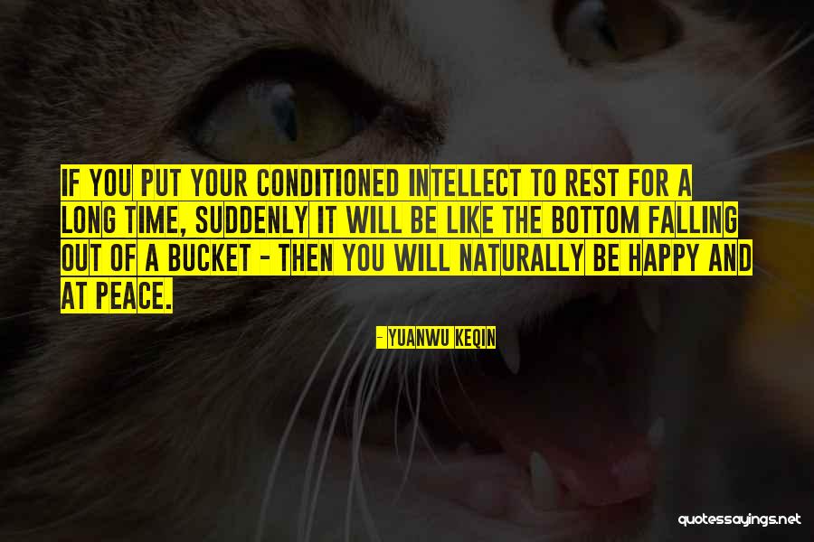 Kassasoft Quotes By Yuanwu Keqin Kassasoft Quotes By Yuanwu Keqin
