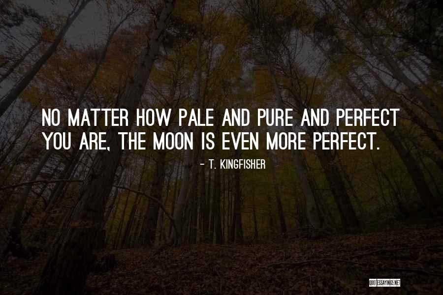 Kassim Aladdin Quotes By T. Kingfisher Kassim Aladdin Quotes By T. Kingfisher