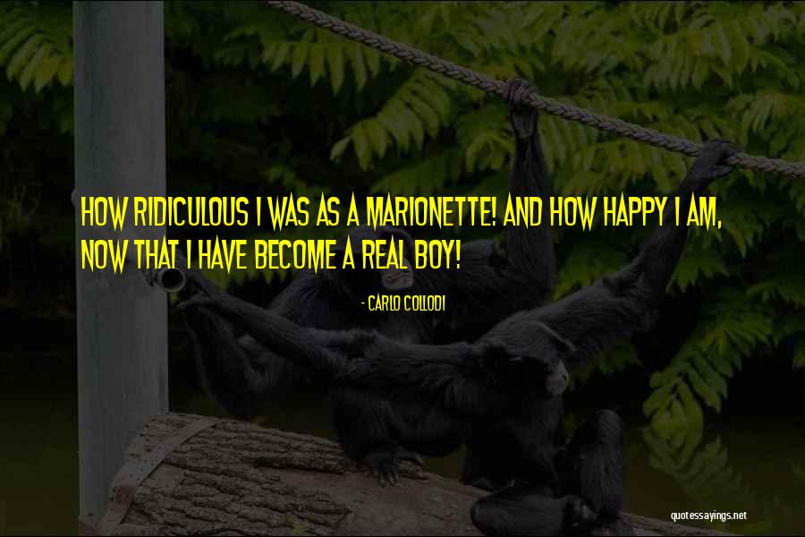 Kassirer Sports Quotes By Carlo Collodi Kassirer Sports Quotes By Carlo Collodi