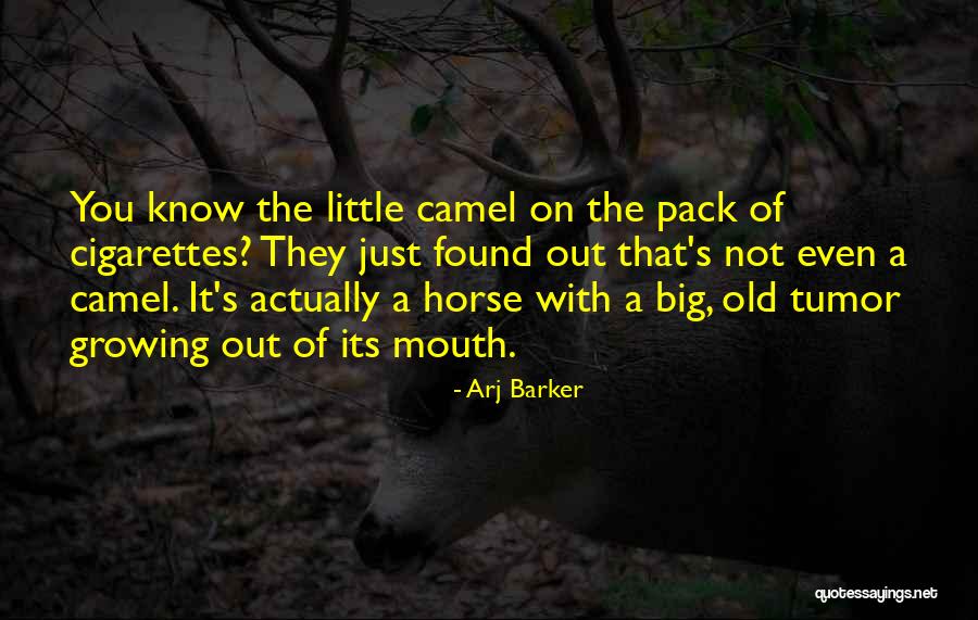 Kastam Quotes By Arj Barker Kastam Quotes By Arj Barker