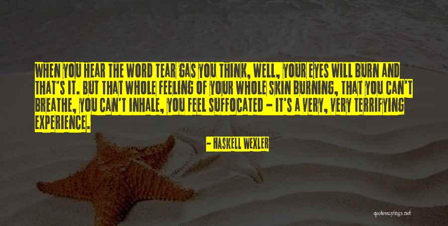 Kastana Nuts Quotes By Haskell Wexler Kastana Nuts Quotes By Haskell Wexler