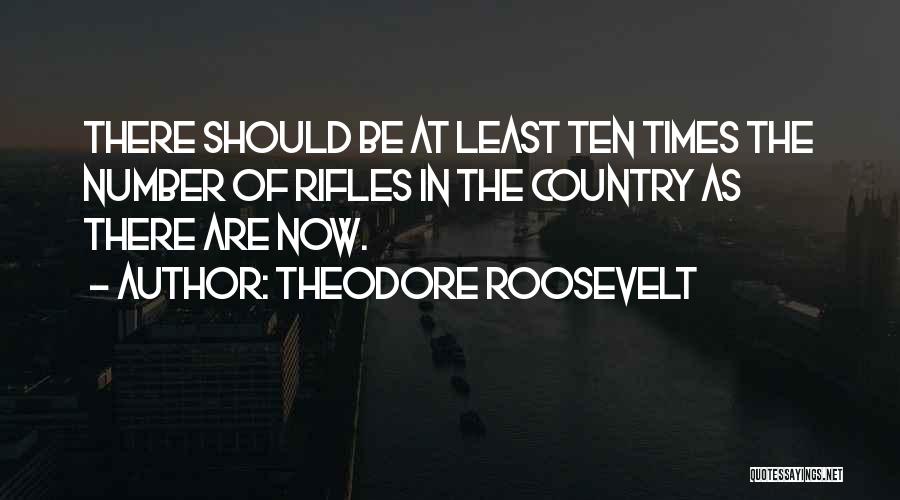 Kastler Construction Quotes By Theodore Roosevelt