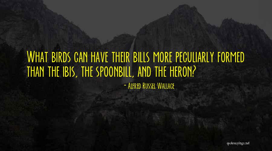 Kastner Mansion Quotes By Alfred Russel Wallace Kastner Mansion Quotes By Alfred Russel Wallace