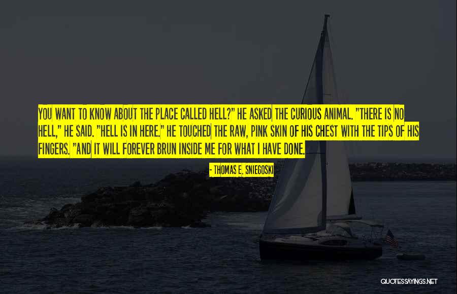 Katanas Dark Quotes By Thomas E. Sniegoski Katanas Dark Quotes By Thomas E. Sniegoski
