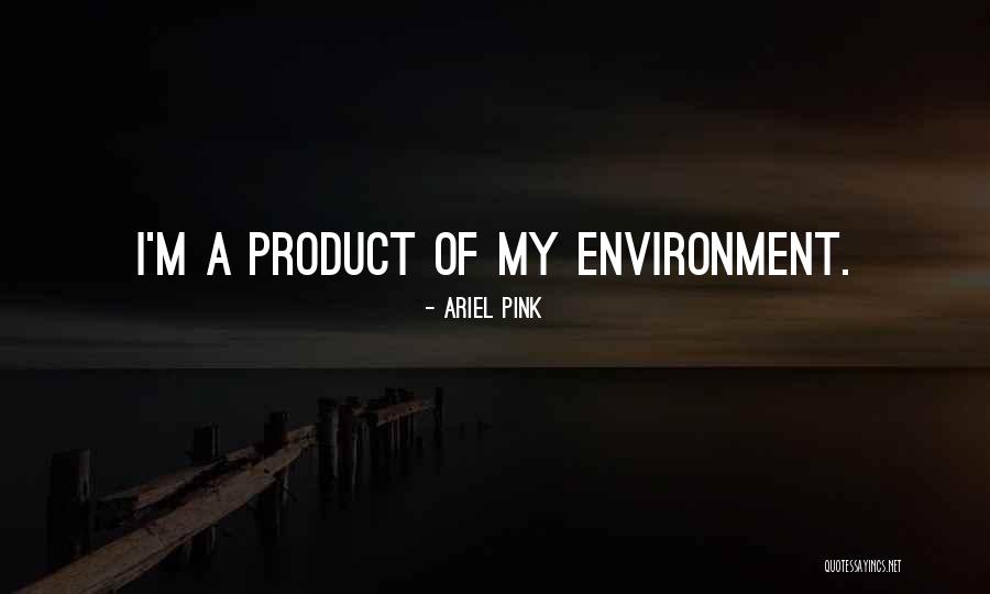 Kataoka Tesshin Quotes By Ariel Pink Kataoka Tesshin Quotes By Ariel Pink