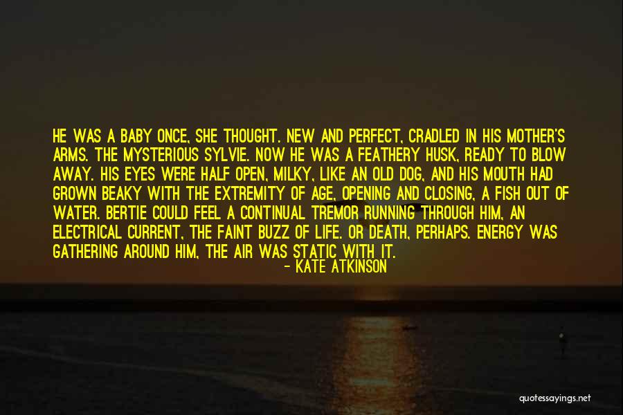 Kate Atkinson Quotes 1720270 Kate Atkinson Quotes 1720270