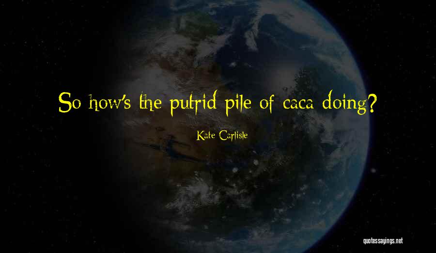 Kate Carlisle Quotes 917848 Kate Carlisle Quotes 917848