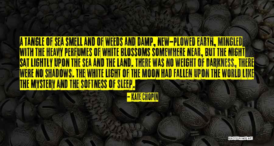 Kate Chopin Quotes 600618 Kate Chopin Quotes 600618