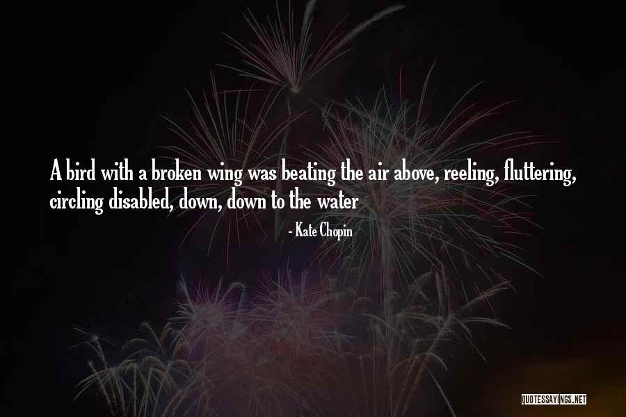 Kate Chopin Quotes 877027