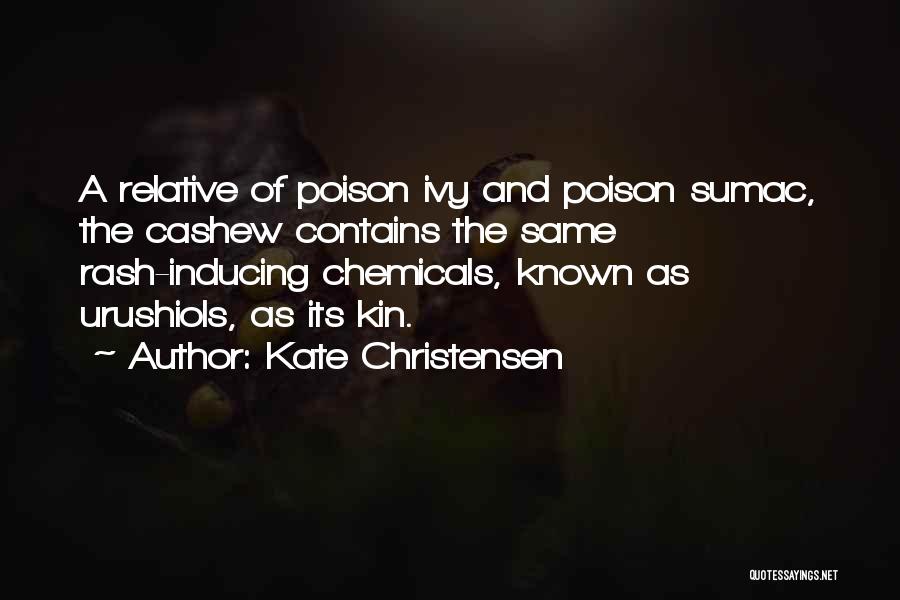 Kate Christensen Quotes 1775050