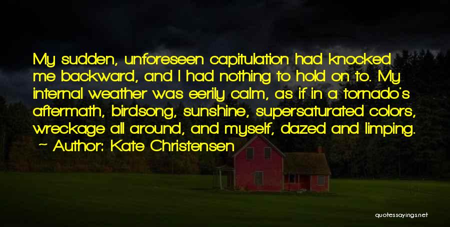 Kate Christensen Quotes 285617