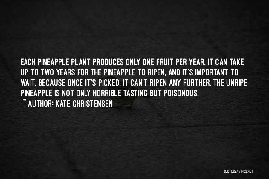 Kate Christensen Quotes 819416