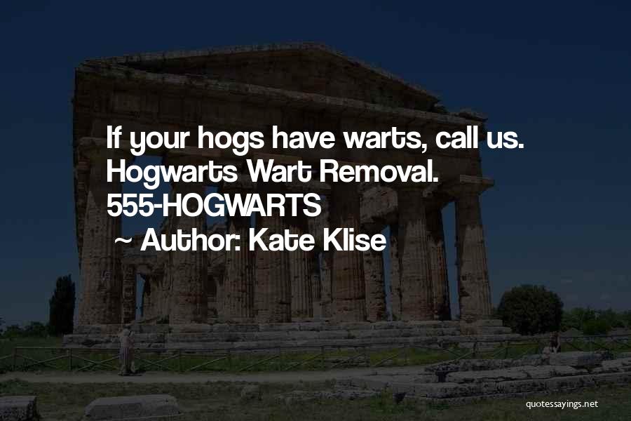 Kate Klise Quotes 1515690