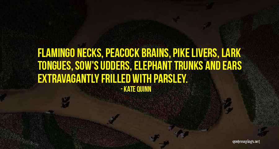 Kate Quinn Quotes 188354 Kate Quinn Quotes 188354