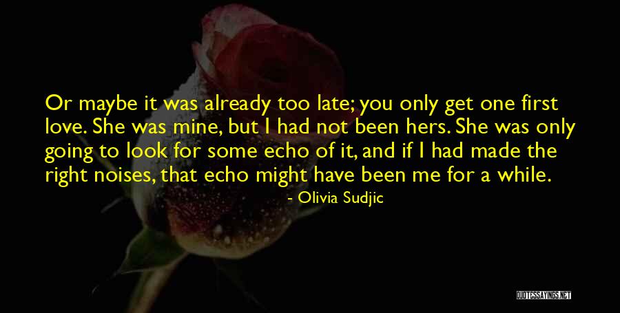 Katerini Quotes By Olivia Sudjic Katerini Quotes By Olivia Sudjic