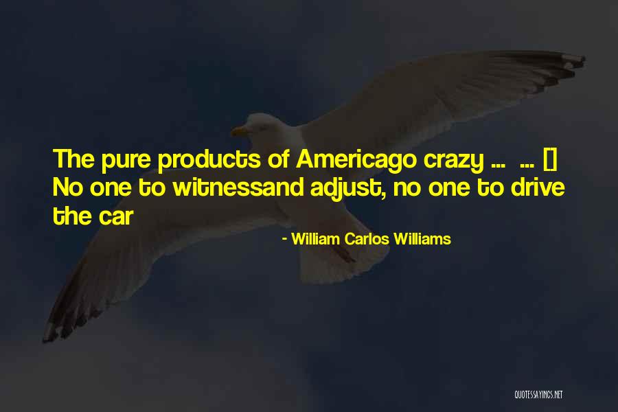 Katerini Quotes By William Carlos Williams Katerini Quotes By William Carlos Williams