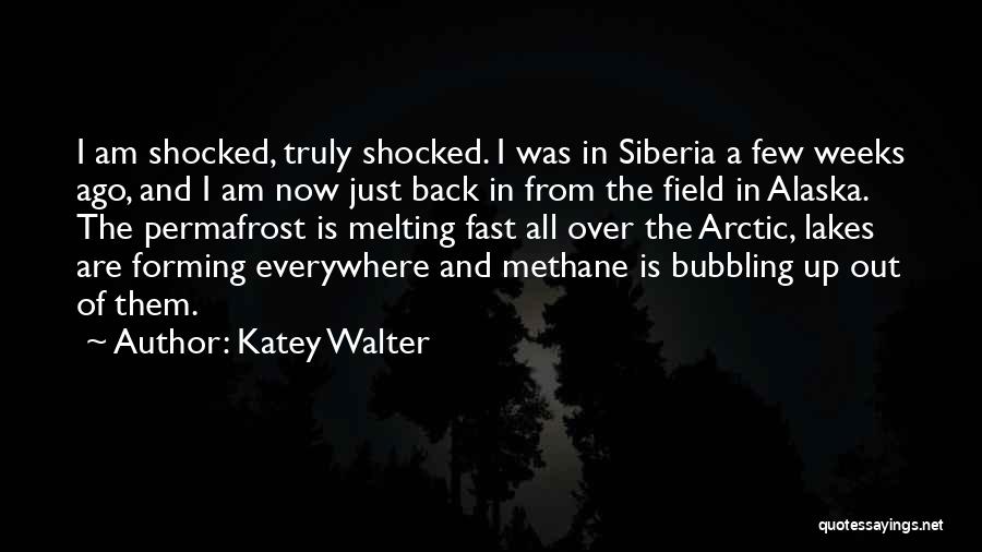 Katey Walter Quotes 1810864
