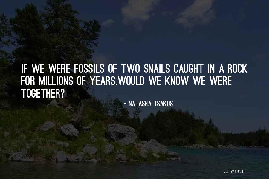 Katgely Cupcake Quotes By Natasha Tsakos Katgely Cupcake Quotes By Natasha Tsakos