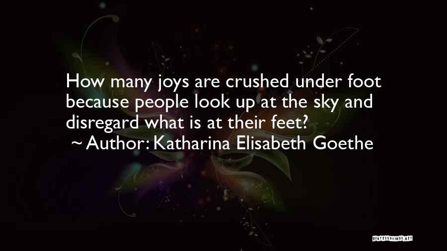 Katharina Elisabeth Goethe Quotes 1857296