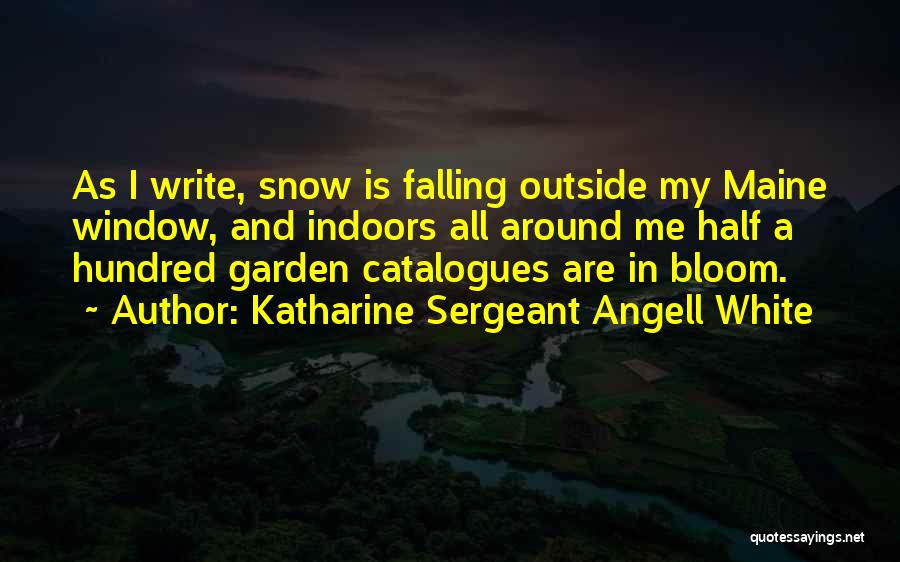 Katharine Sergeant Angell White Quotes 982656