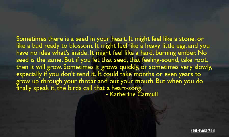 Katherine Catmull Quotes 1414743 Katherine Catmull Quotes 1414743