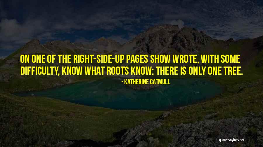 Katherine Catmull Quotes 1873281 Katherine Catmull Quotes 1873281