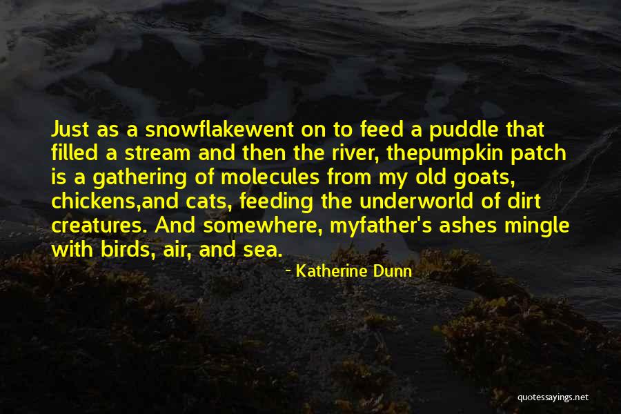 Katherine Dunn Quotes 1219389