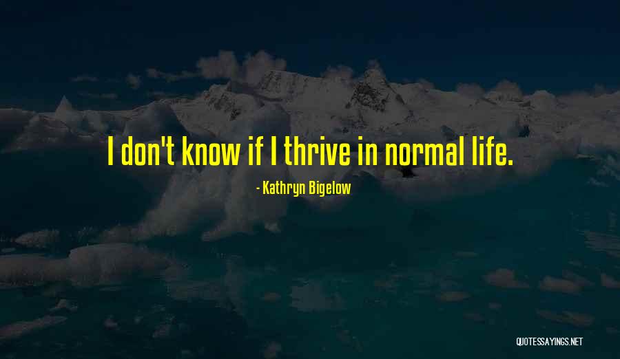 Kathryn Bigelow Quotes 1452765