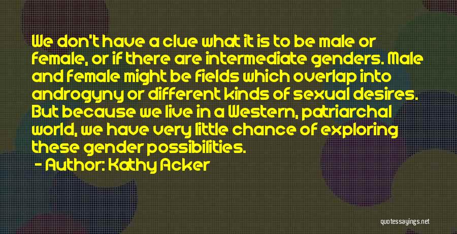 Kathy Acker Quotes 343568