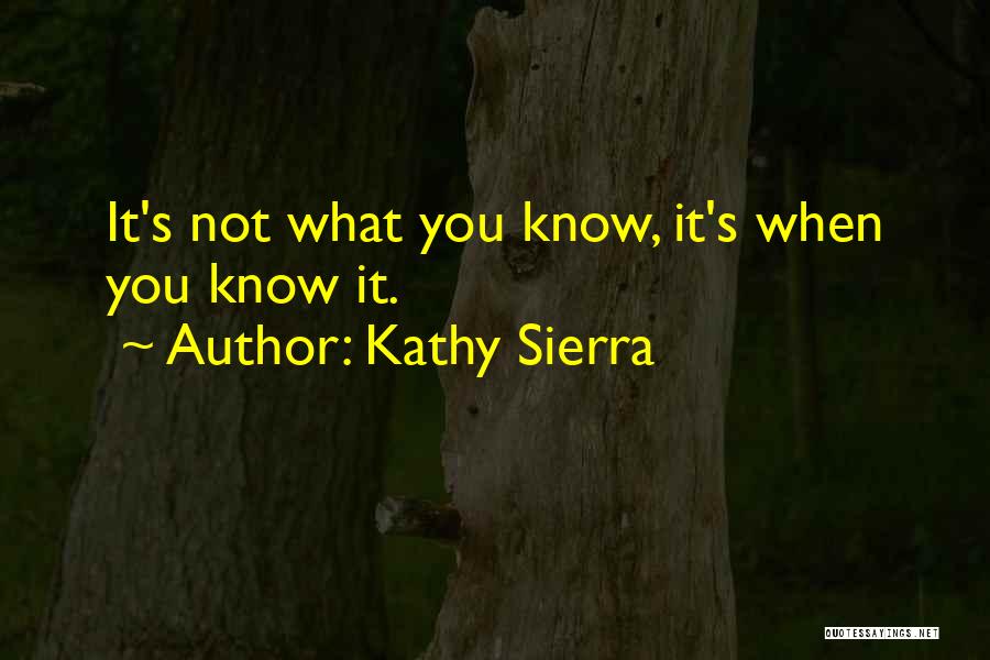 Kathy Sierra Quotes 1367073